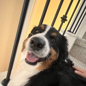 Meet your Posher, Hudson